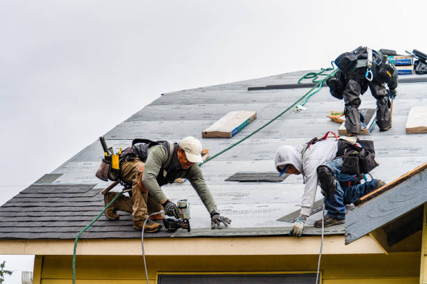 Professional Storm Damage Roof Repair technician working in Bahama, NC